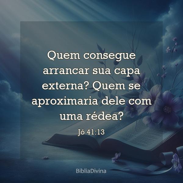 Jó 41:13