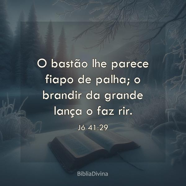 Jó 41:29