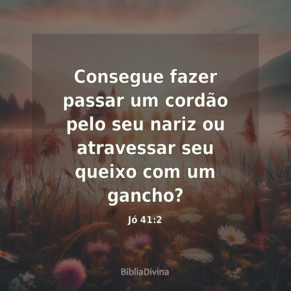 Jó 41:2