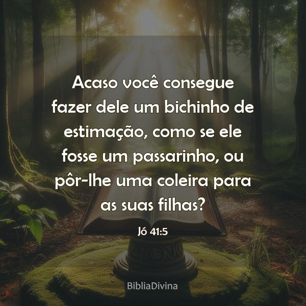 Jó 41:5