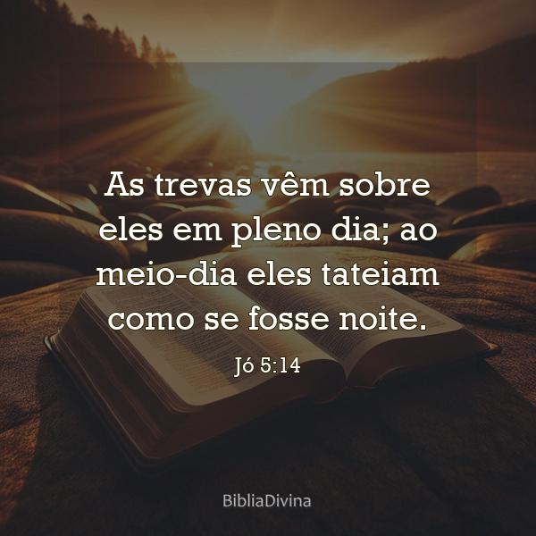 Jó 5:14