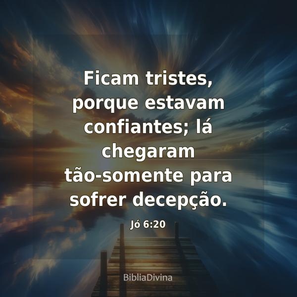 Jó 6:20