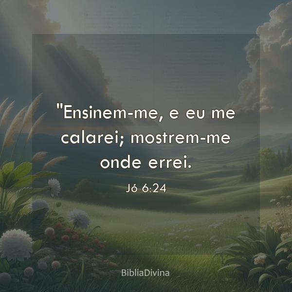 Jó 6:24