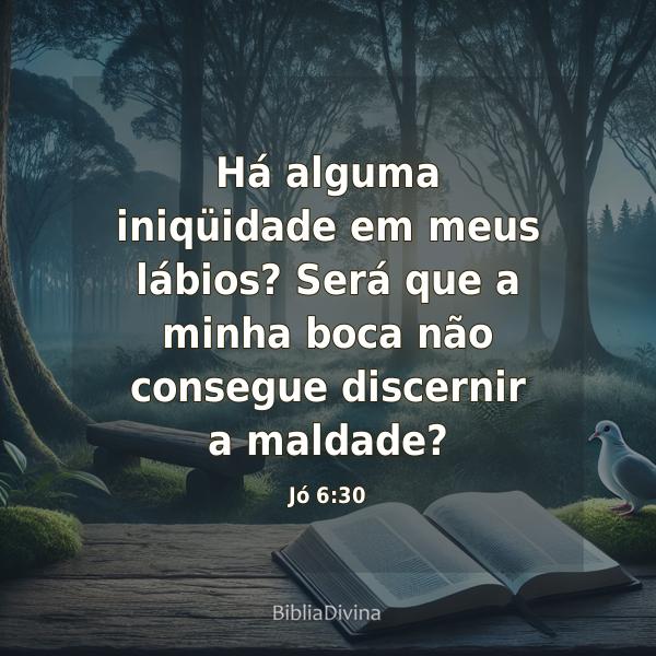 Jó 6:30