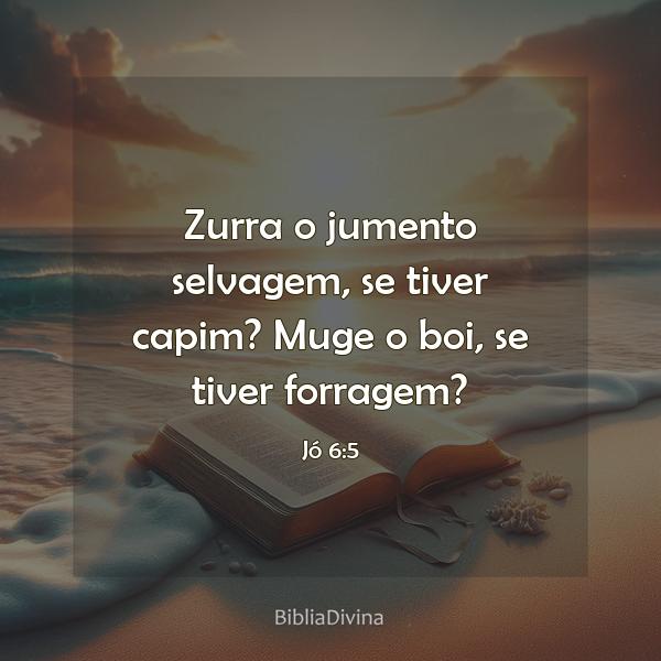 Jó 6:5