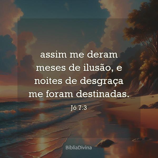 Jó 7:3