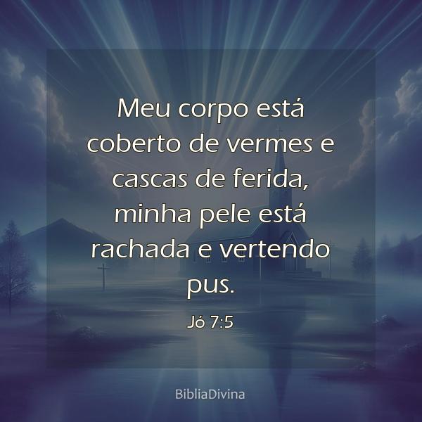 Jó 7:5