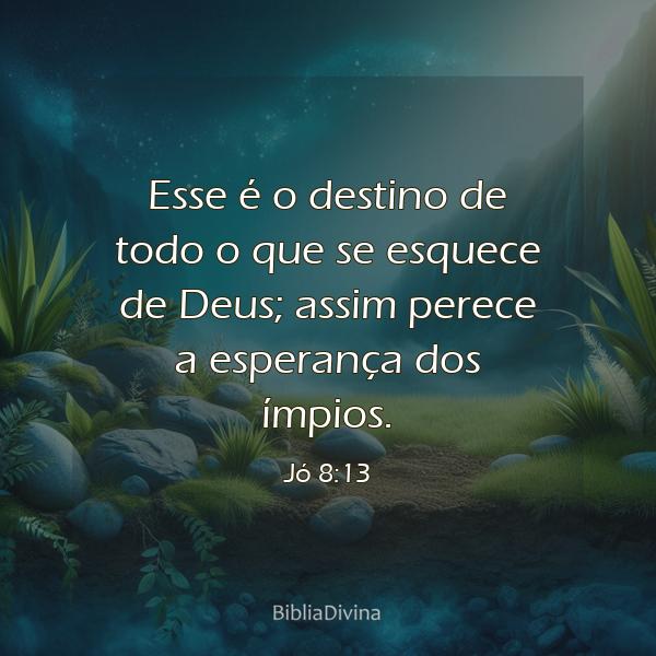 Jó 8:13