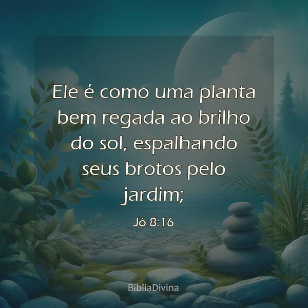 Jó 8:16