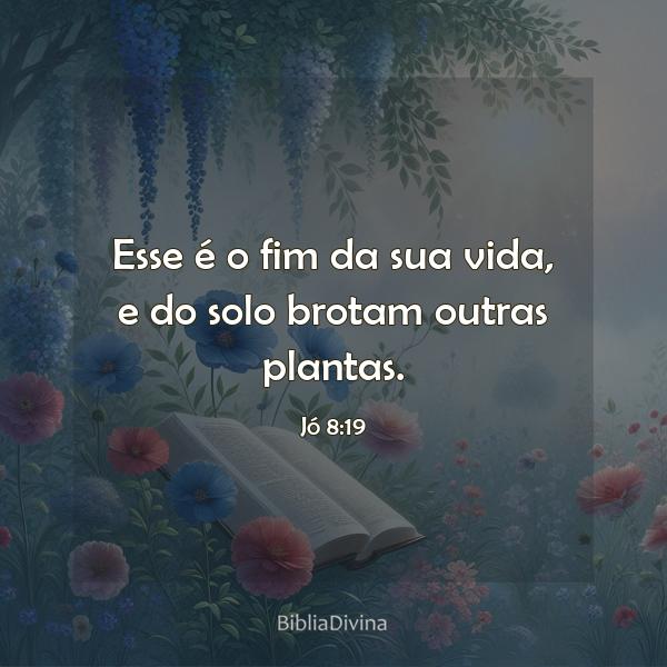 Jó 8:19