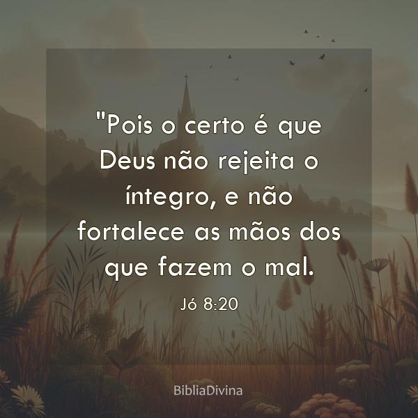 Jó 8:20