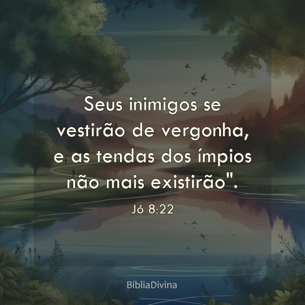 Jó 8:22