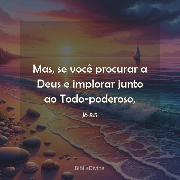 Jó 8:5