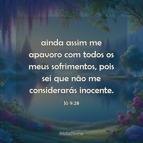 Jó 9:28