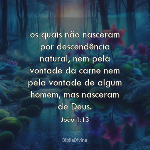 João 1:13