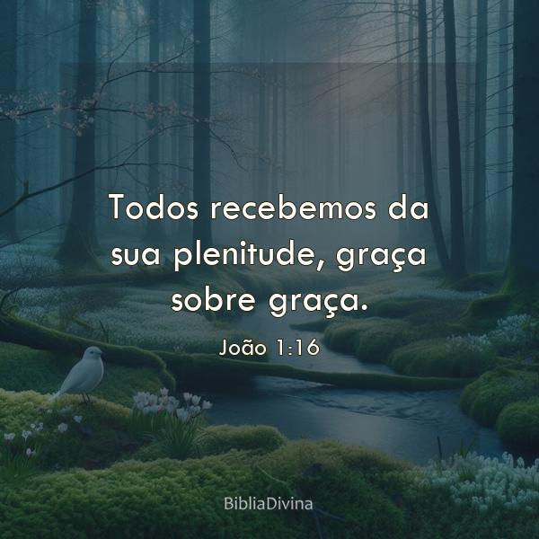 João 1:16