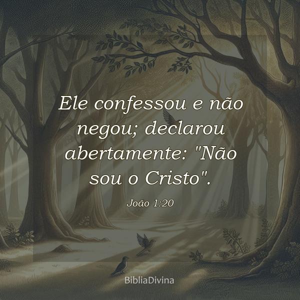 João 1:20