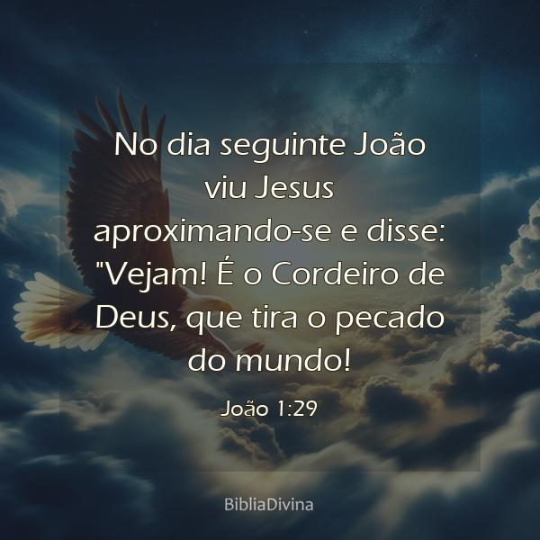 João 1:29