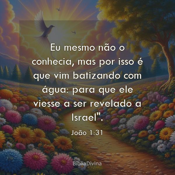 João 1:31