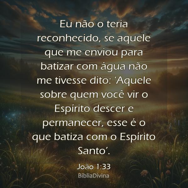 João 1:33