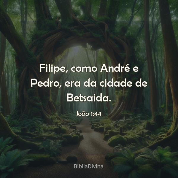 João 1:44