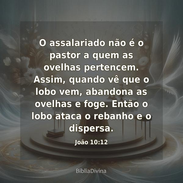 João 10:12