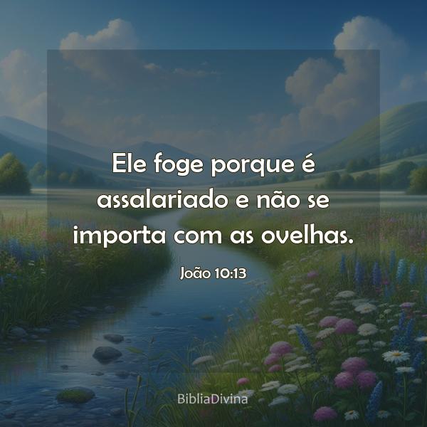 João 10:13