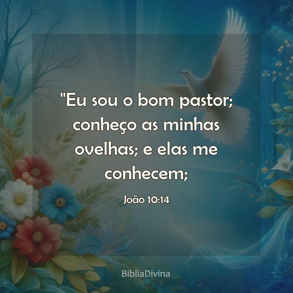 João 10:14