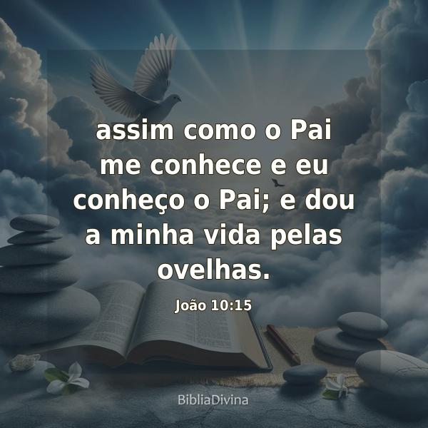 João 10:15