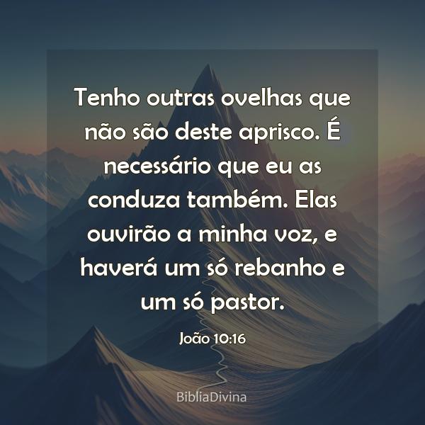 João 10:16