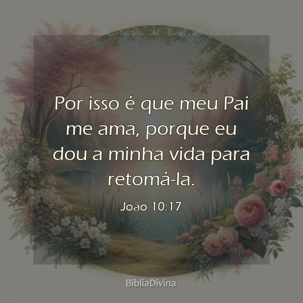 João 10:17