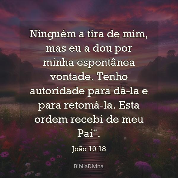 João 10:18