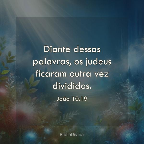 João 10:19