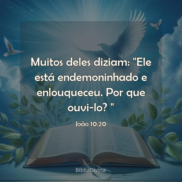 João 10:20