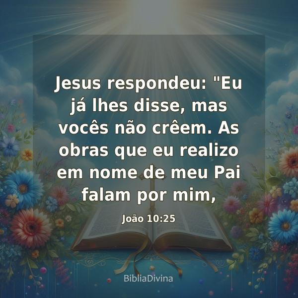 João 10:25