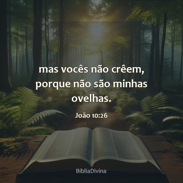 João 10:26