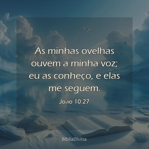 João 10:27