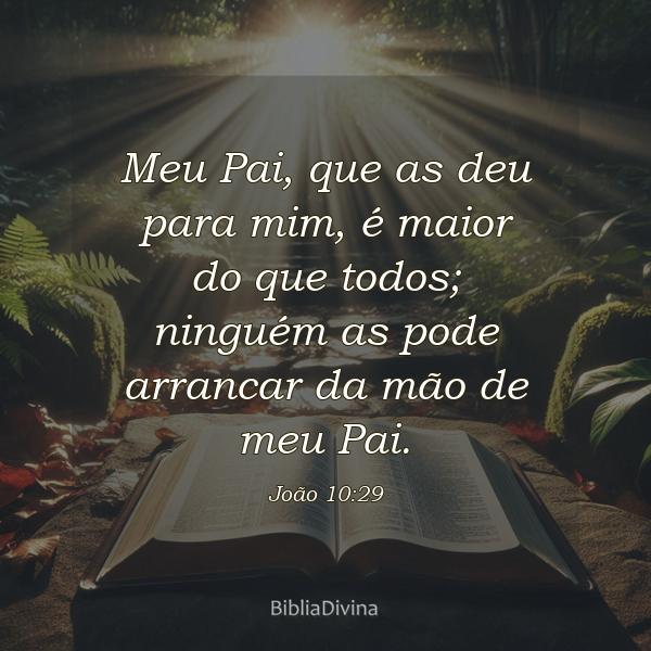 João 10:29