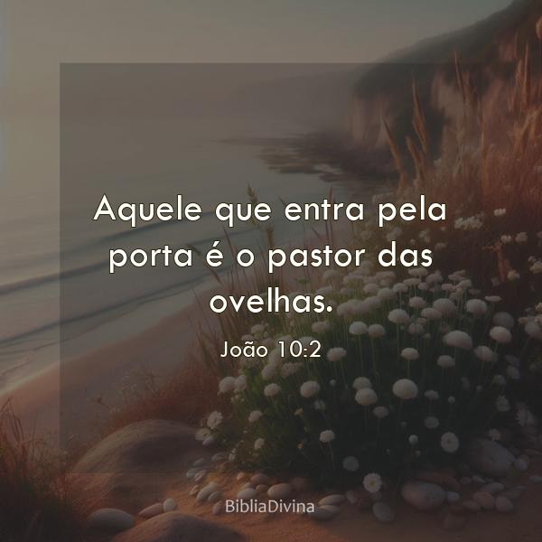 João 10:2