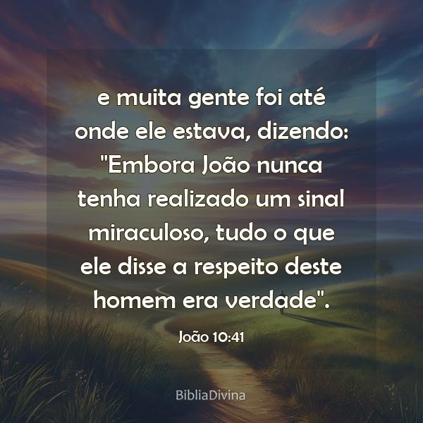 João 10:41