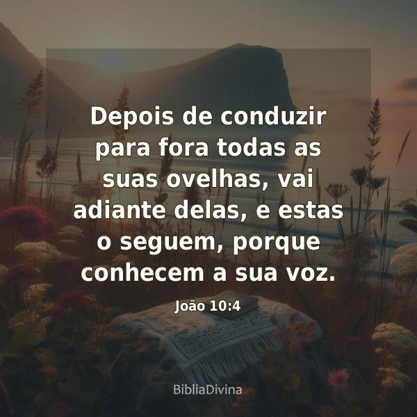 João 10:4