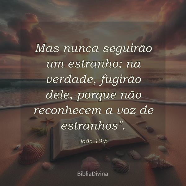 João 10:5