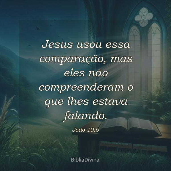 João 10:6