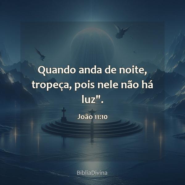 João 11:10