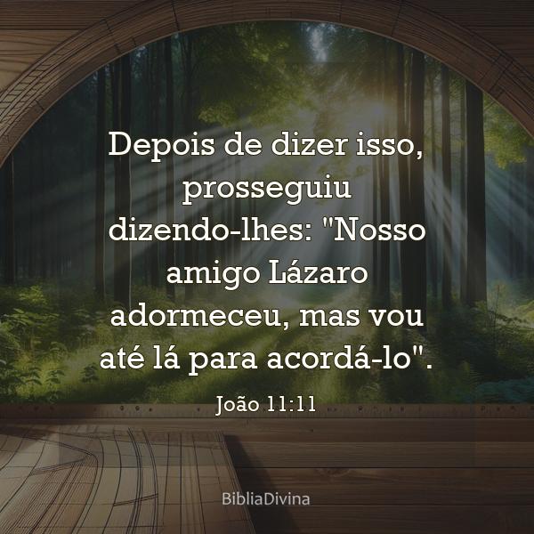 João 11:11