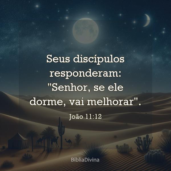 João 11:12