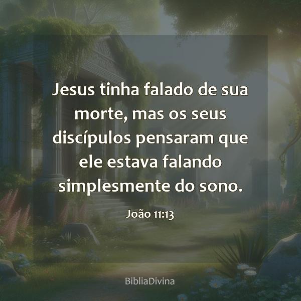 João 11:13