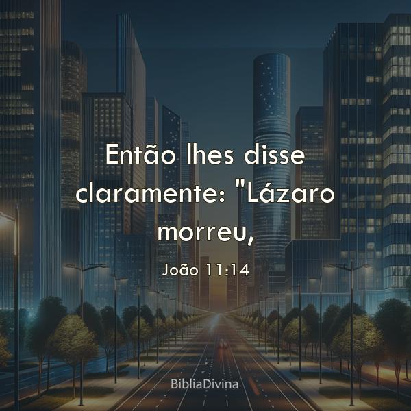 João 11:14