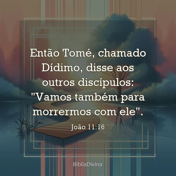 João 11:16