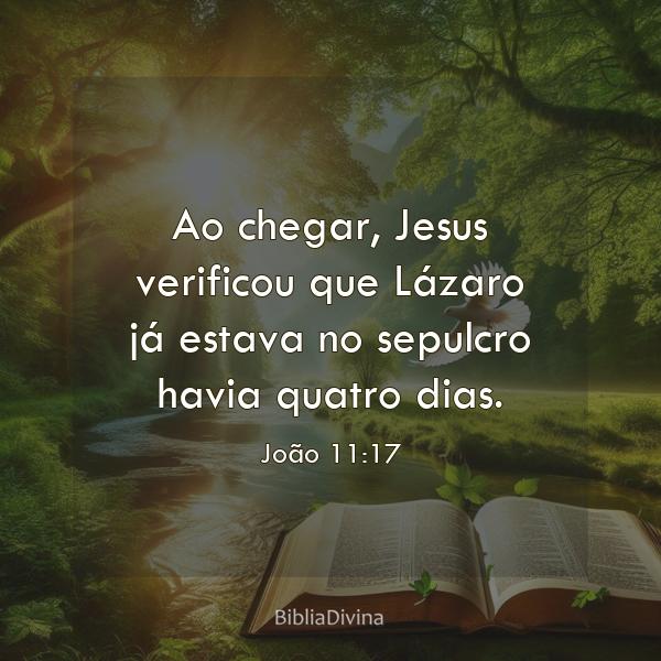 João 11:17